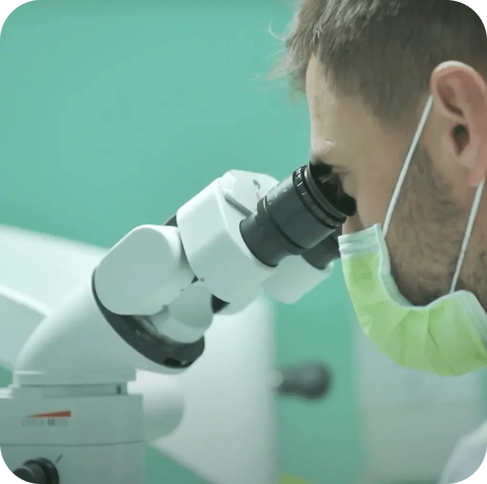 endodoncie